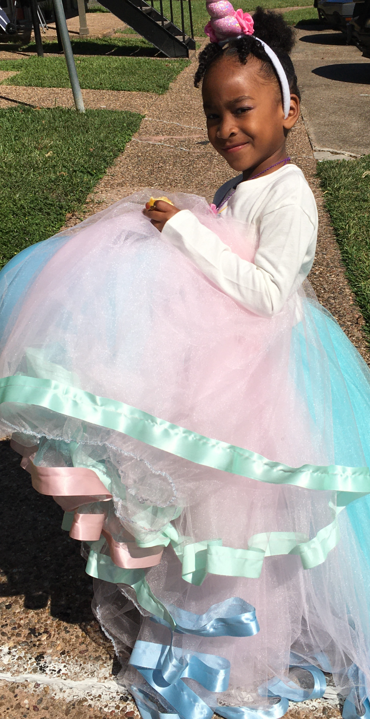 Cinderella Skirt/Dress